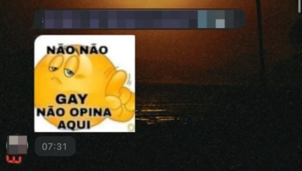 Gay não opina aqui estudante de 14 anos denuncia que sofreu injúria racial e homofobia de