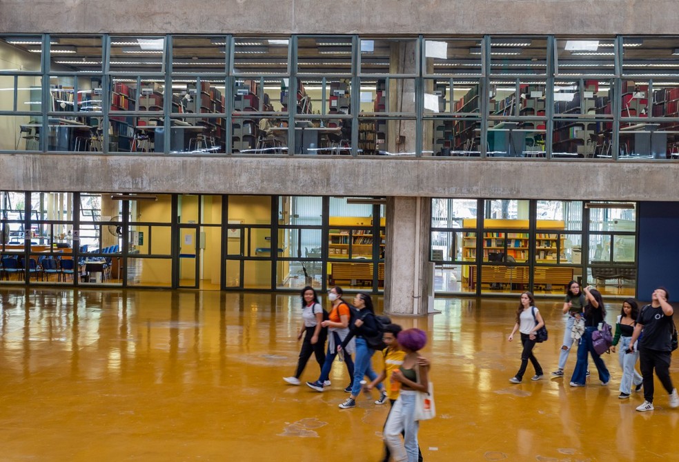 Eleita Melhor Da Am Rica Latina Usp Vai Mudar Grade Curricular Ambi O De Subir No Ranking