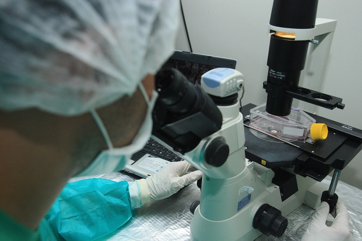 Ass Dios Sexual Moral E Falta De Financiamento Por Que Cientistas Brasileiros Est O Desmotivados