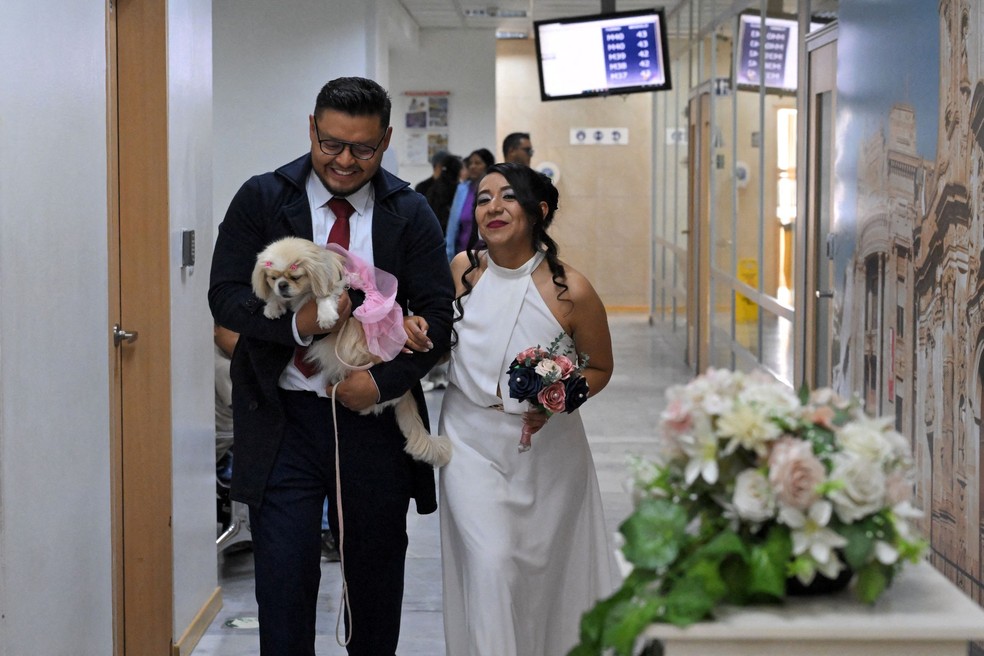 Andrés Alquinga e Diana Tupiza colocam a pegada de sua cadela de estimação, Luna, como testemunha simbólica de seu casamento no cartório central de registro civil em Quito — Foto: RODRIGO BUENDIA/AFP