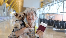 Vai mudar de pa&iacute;s? Entenda como levar seu pet com voc&ecirc;