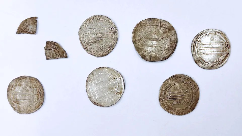 Image for Moedas árabes de 1200 anos são encontradas em floresta na Polônia perto de antigo porto viking