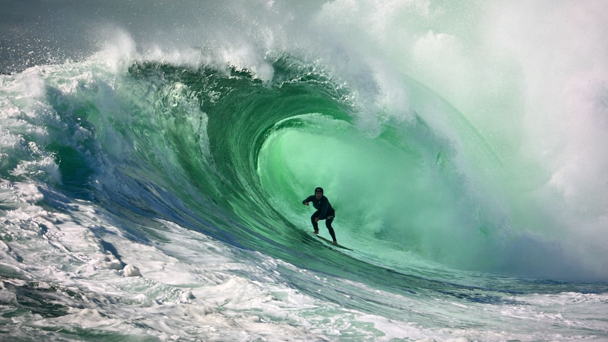Pentacampeão mundial de skimboard, Lucas Fink surfa com golfinhos na Austrália