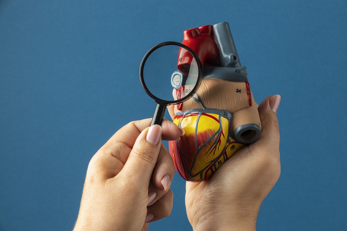 Mortes por doenças cardiovasculares devem aumentar em 10% no Brasil até 2030, estima Sociedade de Cardiologia