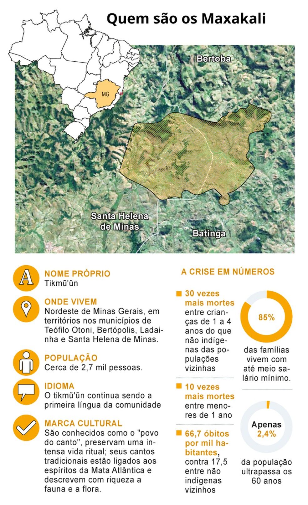 Quem são os Maxakali? — Foto: Arte O Globo