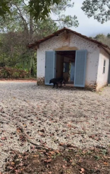 Sítiode Fernanda lima tem casinha rasedada que a presentadora reform tronsportou no'espaçodo vazio' - foto: reprodução/instagram