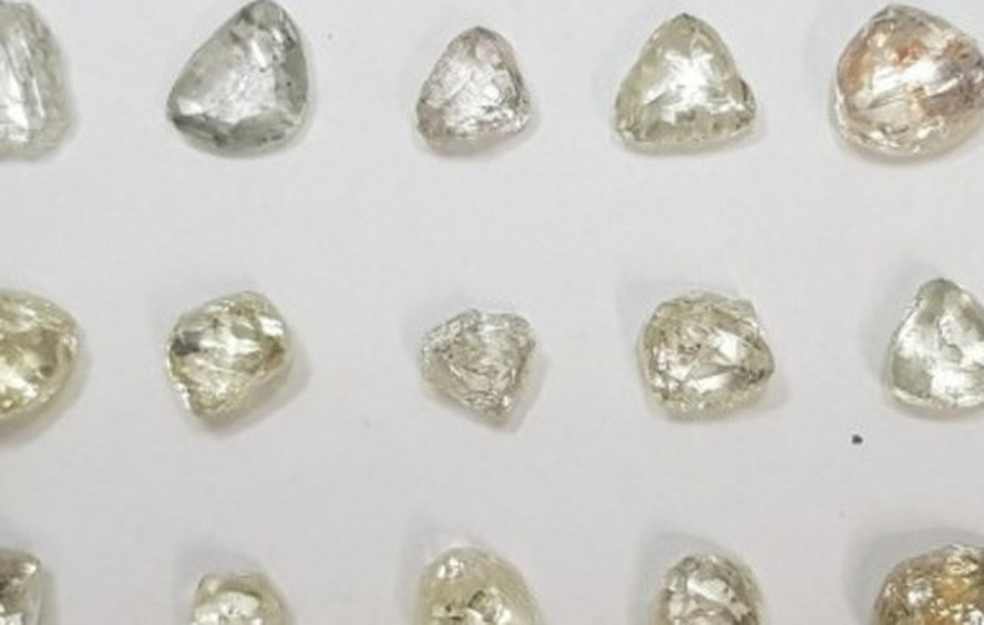 Ministério da Justiça leiloa veículos, diamantes e bolsas de luxo
