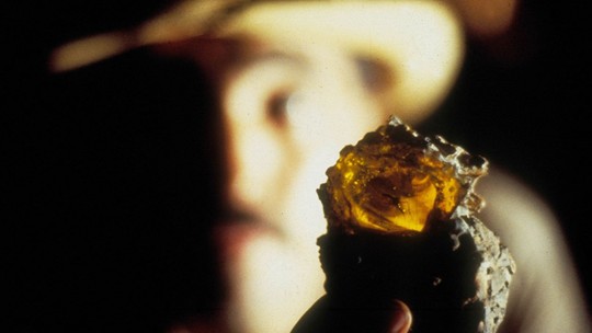 Lembra dele? Mosquito fossilizado de ‘Jurassic Park’ é vendido por R$ 2,1 milhões em leilão Lembra dele? Mosquito fossilizado de ‘Jurassic Park’ é vendido por R$ 2,1 milhões em leilão