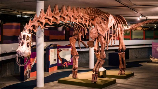 'Expodinos' tem réplica de esqueleto do maior dinossauro do mundo, com 40 metros