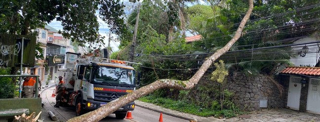 In São Conrado, a tree falls on wires – Photo: Felipe Bias