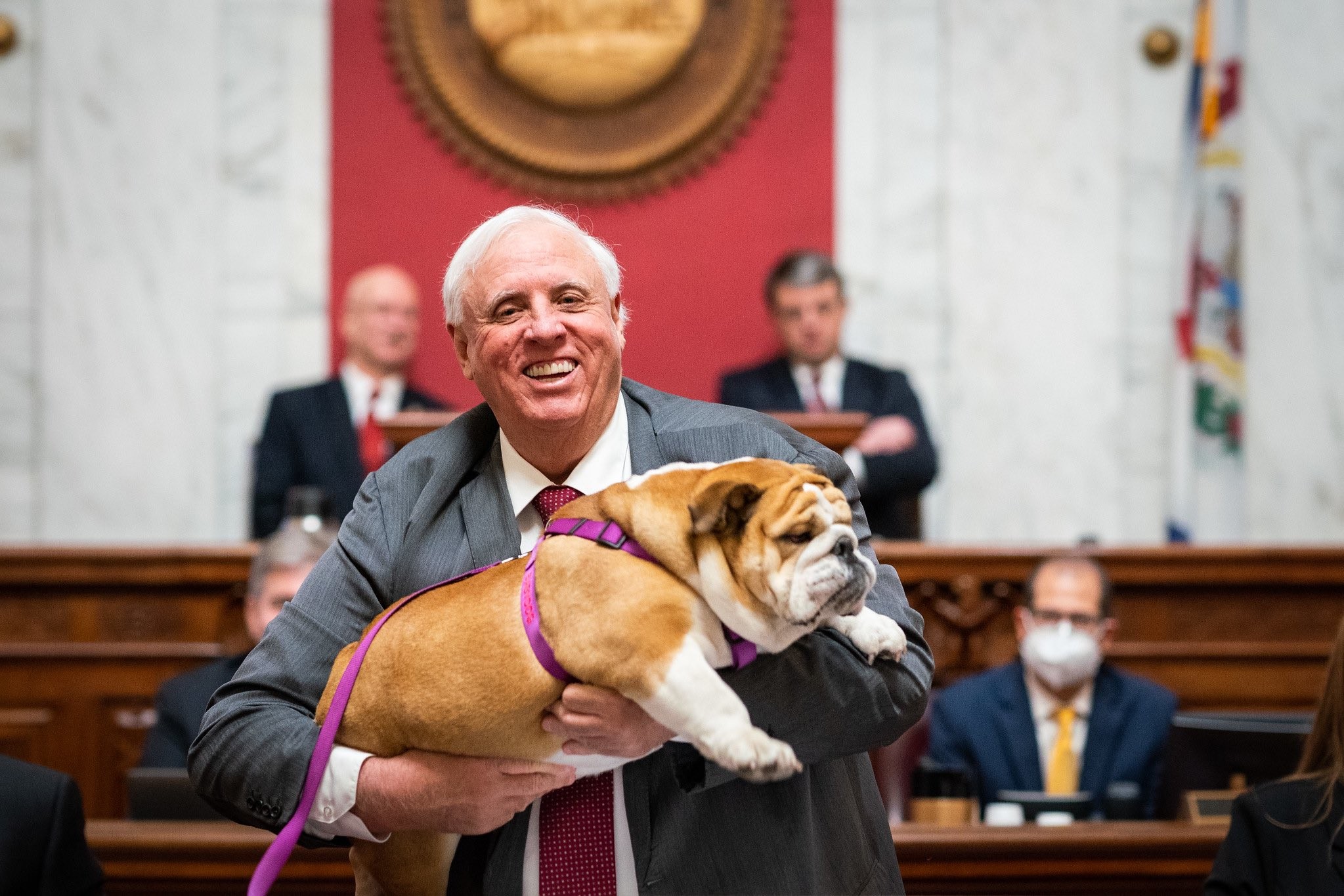 Conheça Babydog, cachorro do governador da Virgínia Ocidental e celebridade entre americanos