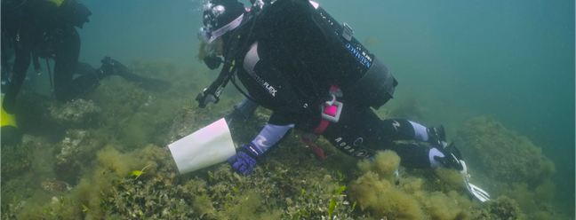 Pesquisadores descobriram restos da Roma Antiga enterrados no fundo do oceano — Foto: Divulgação/Superintendência da Área Metropolitana de Nápoles