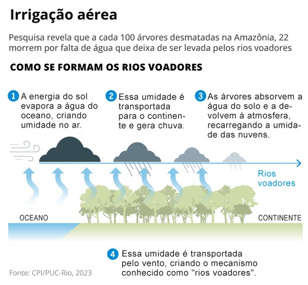 'Rios voadores': fenômeno está ameaçado por desmatamento na Amazônia