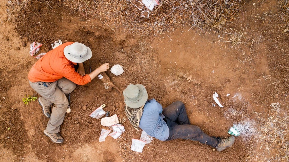 Dinossauro que viveu há 210 milhões de anos é descoberto no Zimbábue