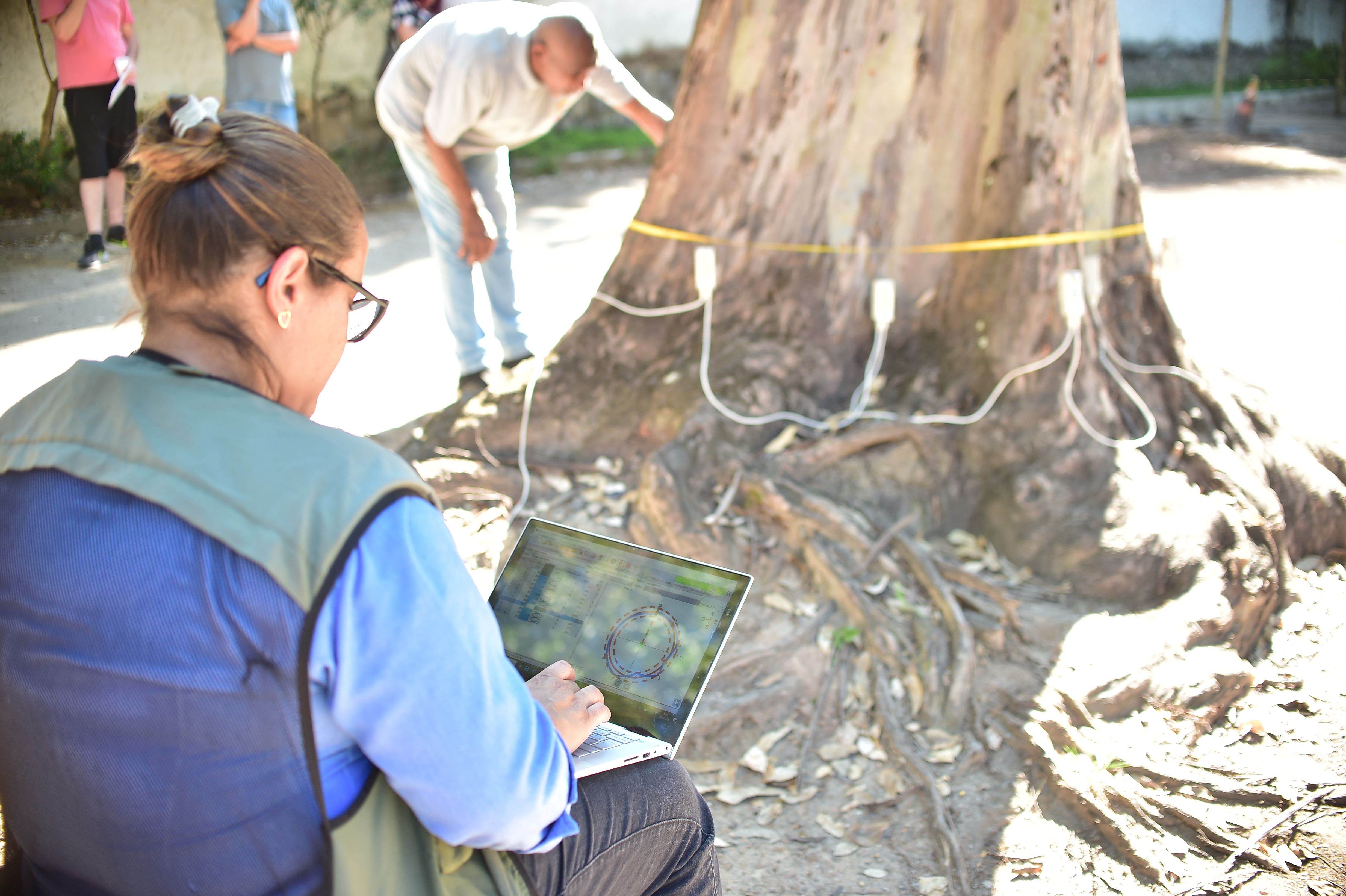 Tomografia é usada para avaliar saúde das árvores em Niterói