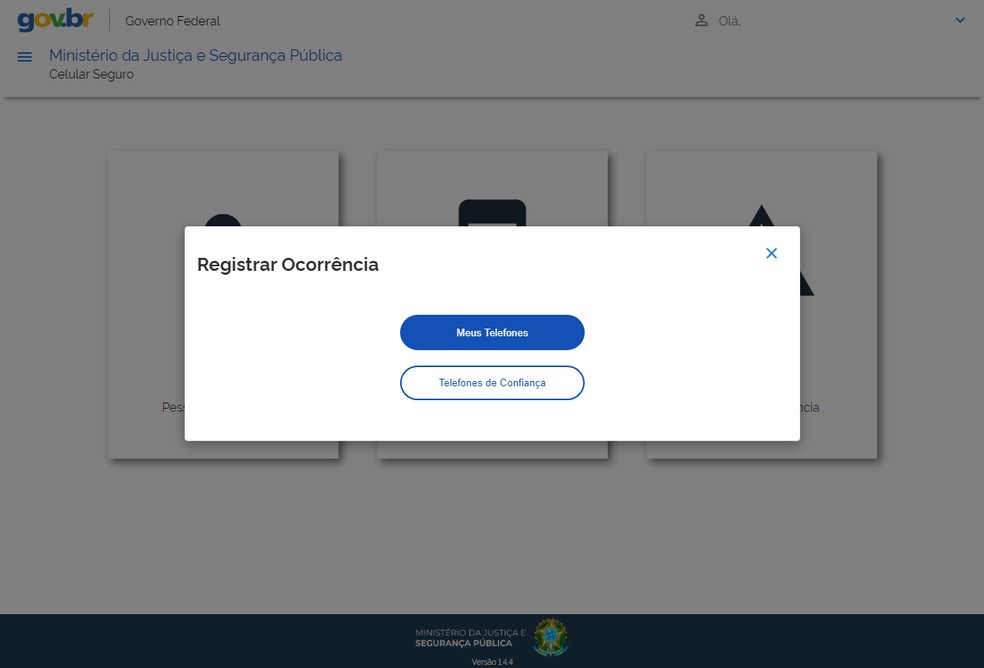 Registro de ocorrência na plataforma Celular Seguro — Foto: Reprodução