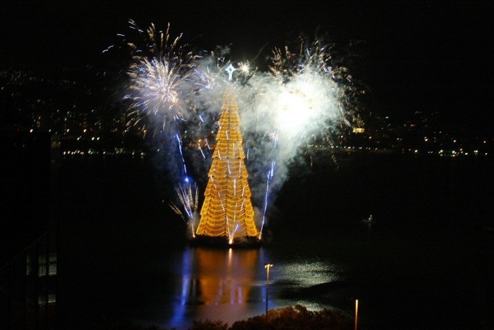 Com brilho dourado intenso, a Árvore da Lagoa de 2008 foi coroada por fogos brancos que iluminaram o céu do Rio — Foto: Fabiano Rocha