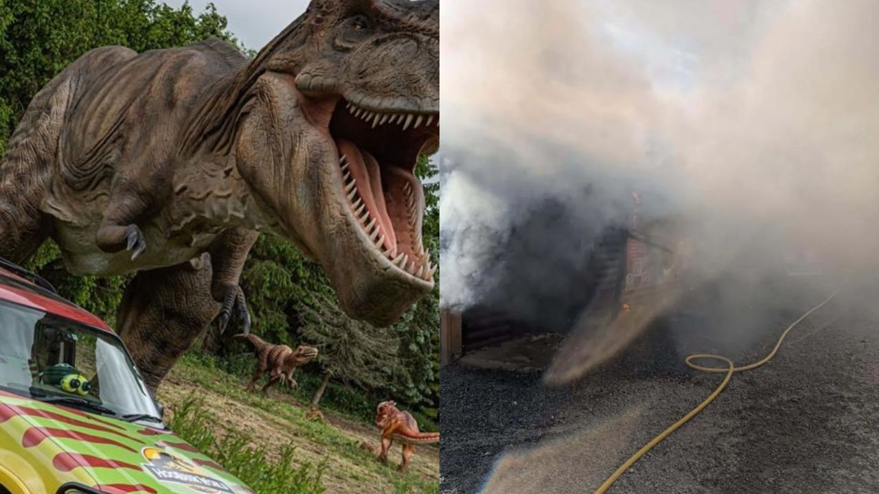 Incêndio atinge um dos maiores zoológicos da Inglaterra; parque é fechado e mobiliza bombeiros - QTU Questões do Universo