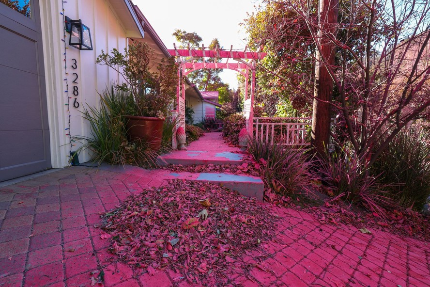 Pó rosa: veja o que é composto usado nos incêndios de Los Angeles e ...