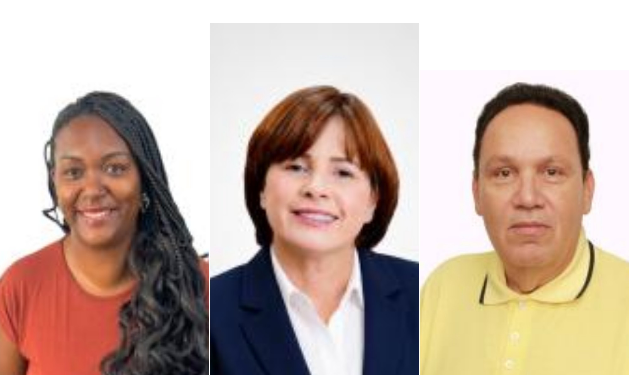 Parece mas não é: veja os candidatos a cargos políticos que tem nomes de famosos, de Alcione Marrom a Elton John