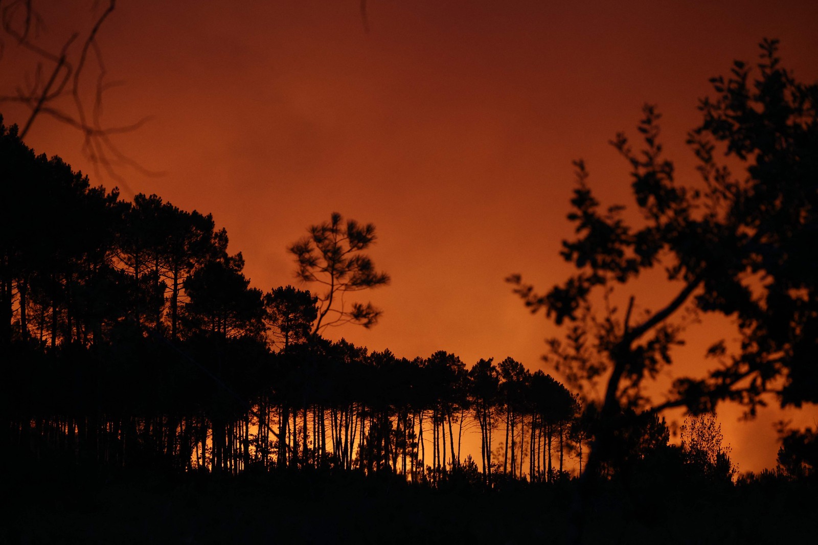 Incêndio consome região da França e atinge outros pontos da Europa — Foto: Romain Perrocheau/AFP