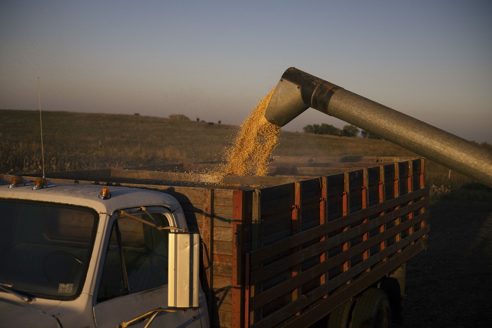 Carga de milho é carregada em caminhão no estado americano de Nebraska — Foto: ALYSSA SCHUKAR/NY TIMES