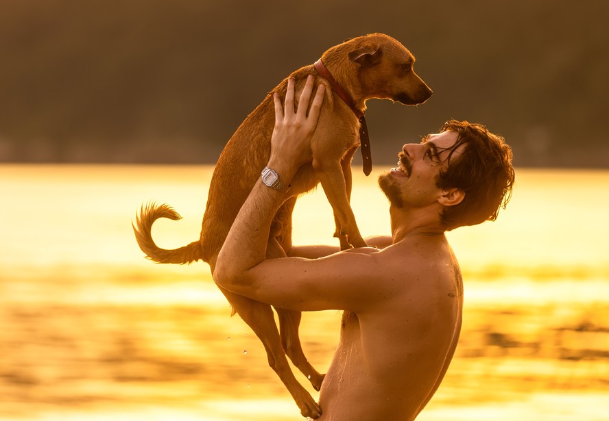 Como foi a escalação de Amendoim, vira-lata protagonista de ...