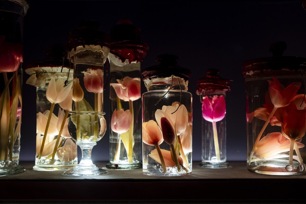 Flores expostas no Art Zoo, em Amsterdã — Foto: Ilvy Njiokiktjien/The New York Times