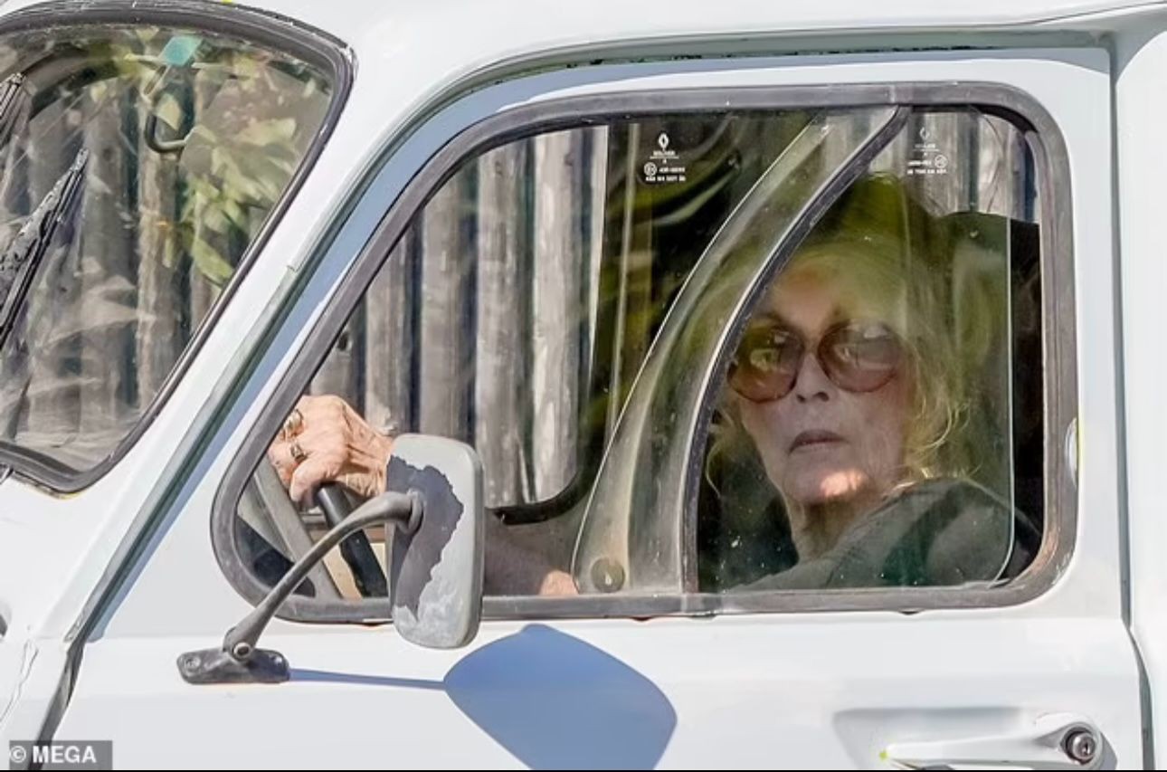 Brigitte Bardot at the wheel — Photo: Reproduction