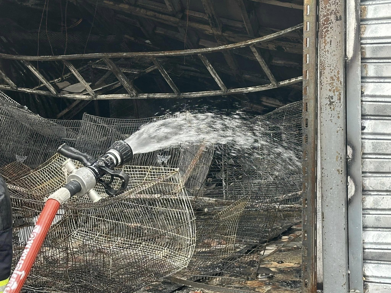 Mãe lamenta morte de médica alagoana em incêndio na Tailândia: 'Coração ...