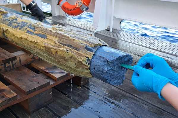 Vida em meio ao veneno: pesquisadores descobrem gosma azul a 3 mil