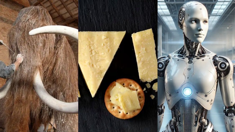 Montagem ilustrativa das invenções