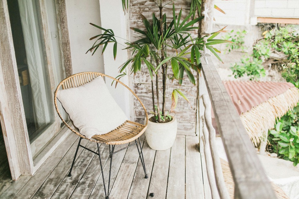 Bambu em casa — Foto: Pexels