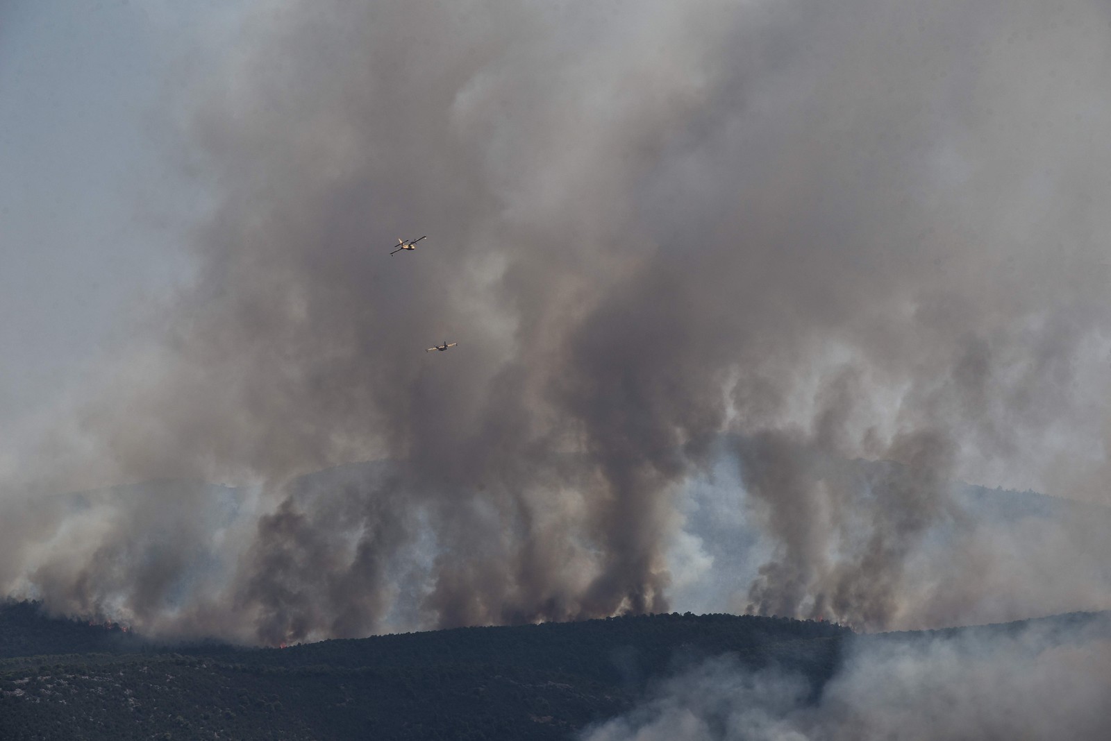 Aviões de combate aos incêndios tentam conter fogo que se alastra em florestas próximas a capital grega Atenas. — Foto: Spyros BAKALIS / AFP