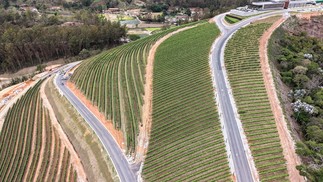 Maturano has an area of ​​202 hectares — Photo: Gabriel de Paiva/ Agência O Globo