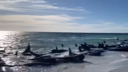 Vídeo mostra mais de 150 baleias encalhadas em praia na Austrália