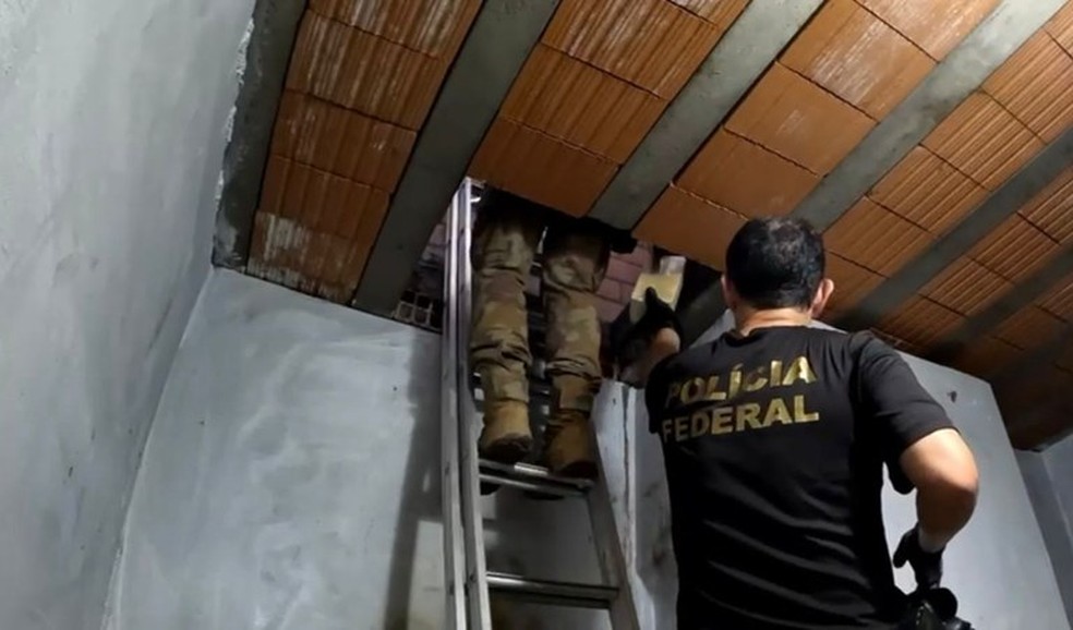 The Federal Police carried out an operation against an international drug trafficking scheme in Santa Catarina - Photo: Al Kashf / Federal Police