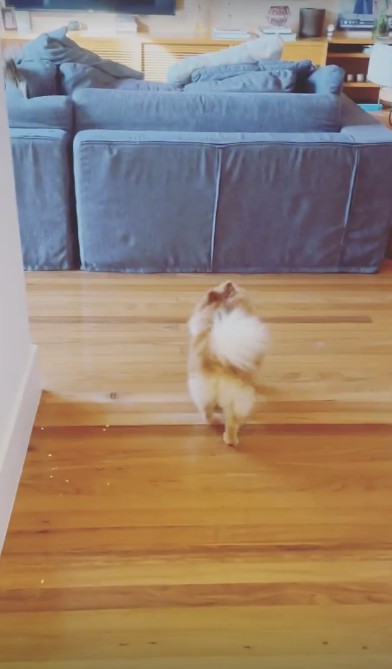 TV room with large sofas — photo: reproduction