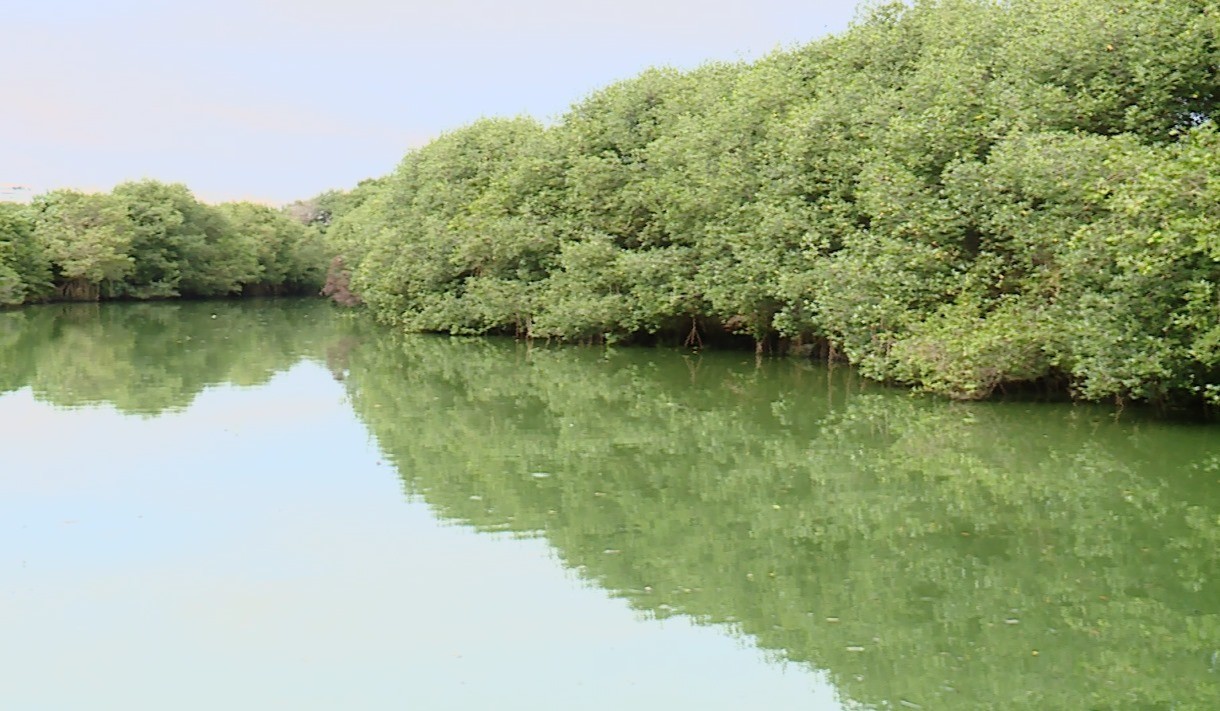 Novo parque do Rio, na Barra da Tijuca, será às margens da Lagoa do Camorim