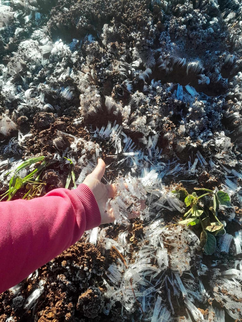 Fenômeno foi registrado em vários municípios do Sul do Brasil — Foto: Reprodução / Facebook