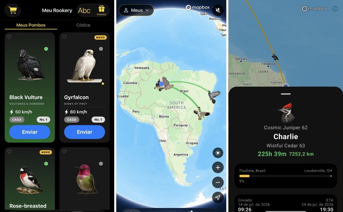 Pombos-correio? Conheça o app que envia mensagens na velocidade real dos pássaros