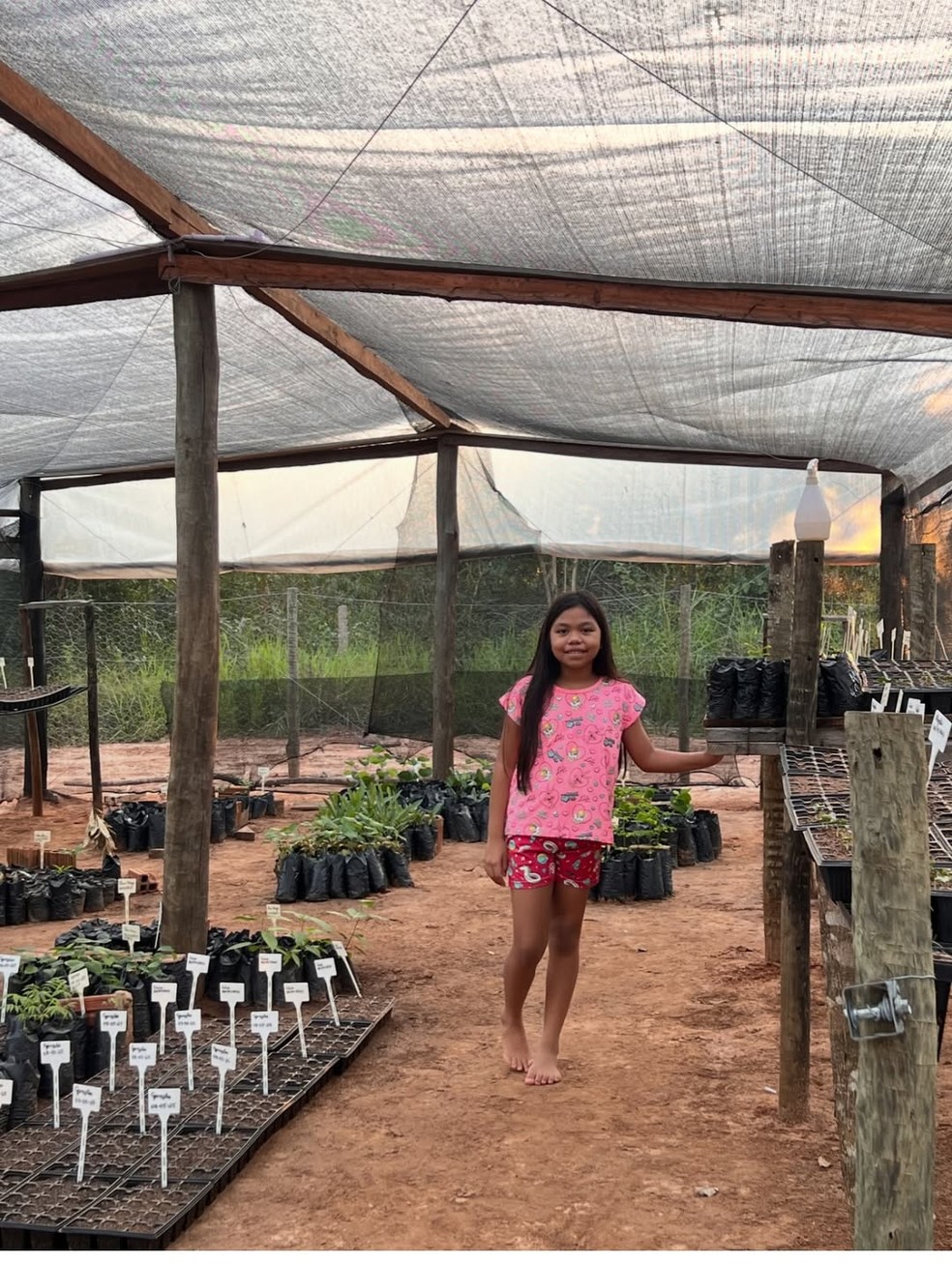Luna Terene, de 9 anos, morreu depois de passar mal na escola onde estudava — Foto: Reprodução/Instagram/ @simoneeloy_terena