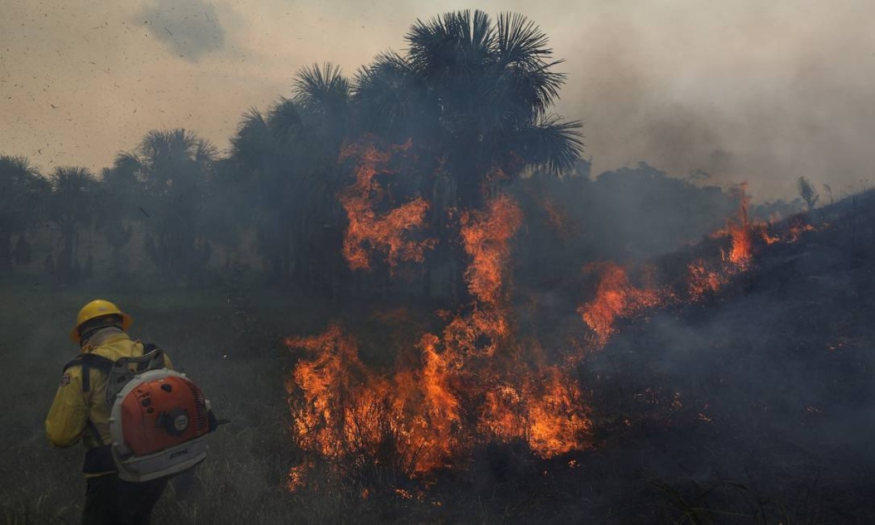 Um membro da brigada de incêndio do Instituto Brasileiro do Meio Ambiente e dos Recursos Naturais Renováveis (IBAMA) tenta controlar pontos quentes durante um incêndio na floresta amazônica do Brasil, em Apui, estado do Amazonas — Foto: BRUNO KELLY / REUTERS