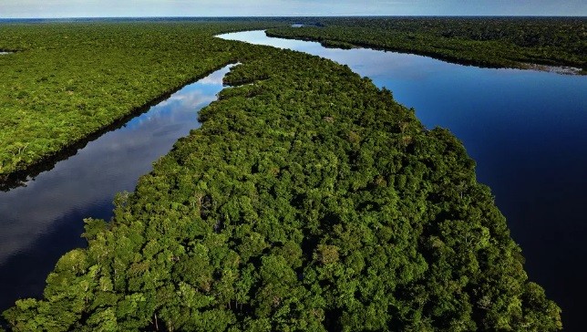 Mercado de carbono evita tarifa europeia, mas o agro não terá que pagar por suas emissões. Entenda o que é bom e ruim na nova lei