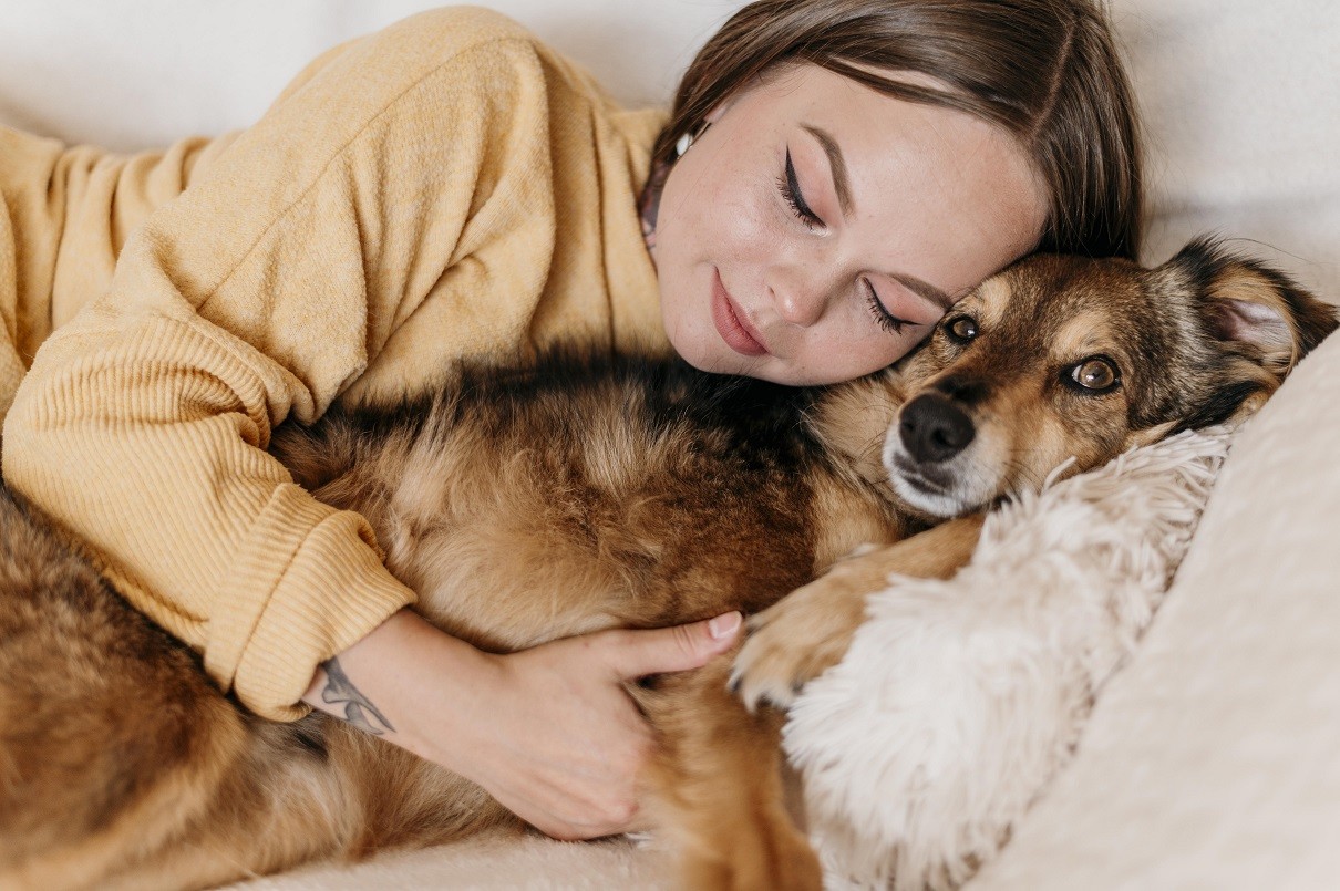 Estudo indica que os humanos atrapalham o sono dos cachorros, antes que o contrário ocorra