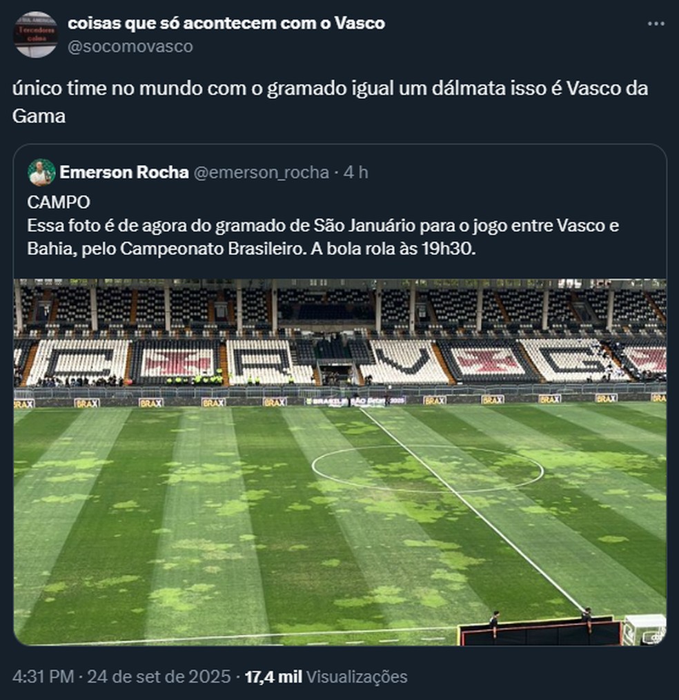 Manchas no gramado de São Januário rendem memes — Foto: Reprodução