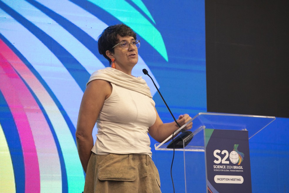 Fernanda de Negri, diretora de Estudos Setoriais do Ipea, no Science20 — Foto: Marcos André Pinto / Divulgação ABC