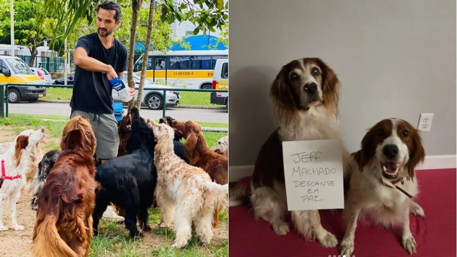 Novos donos de cachorros de Jeff Machado prestam homenagem ao ator morto
