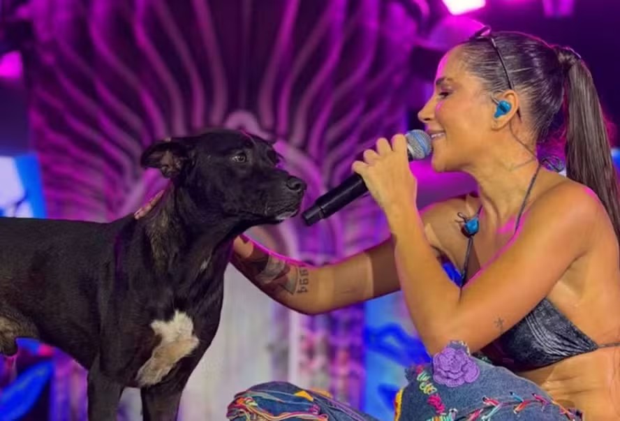 Cachorro adotado por cantora Michele Andrade ganha vida nova