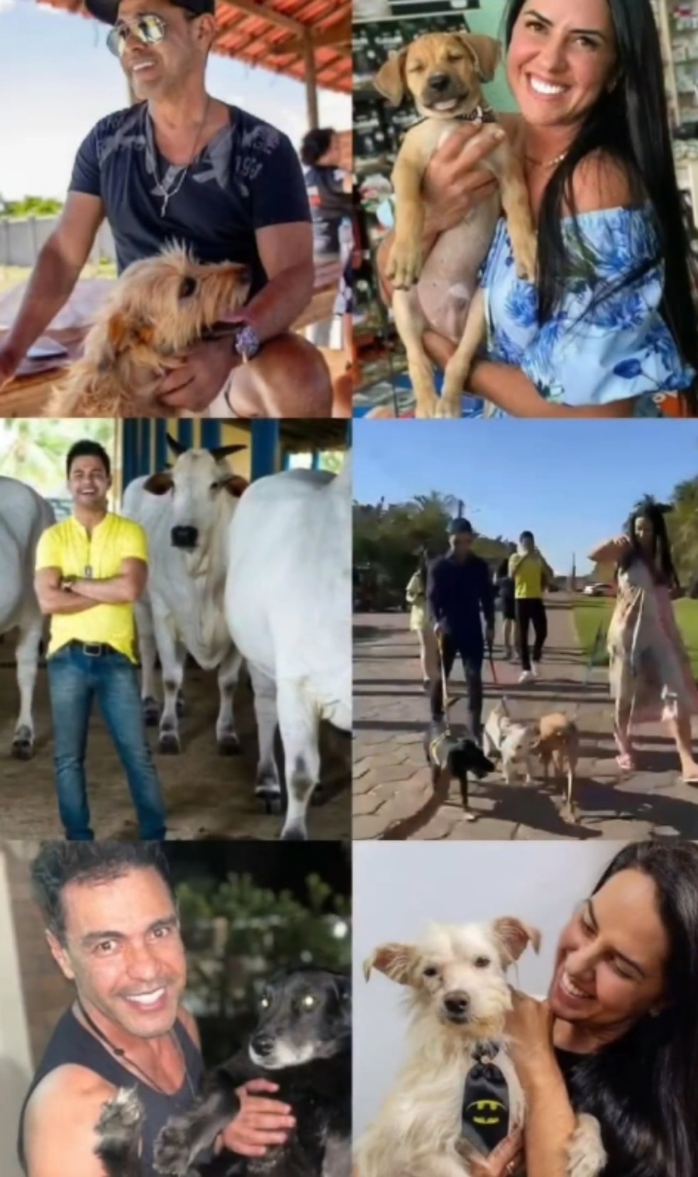 Zezé Di Camargo encerra abate de gado e transforma fazenda em abrigo para cães resgatados — Foto: Reprodução Instagram